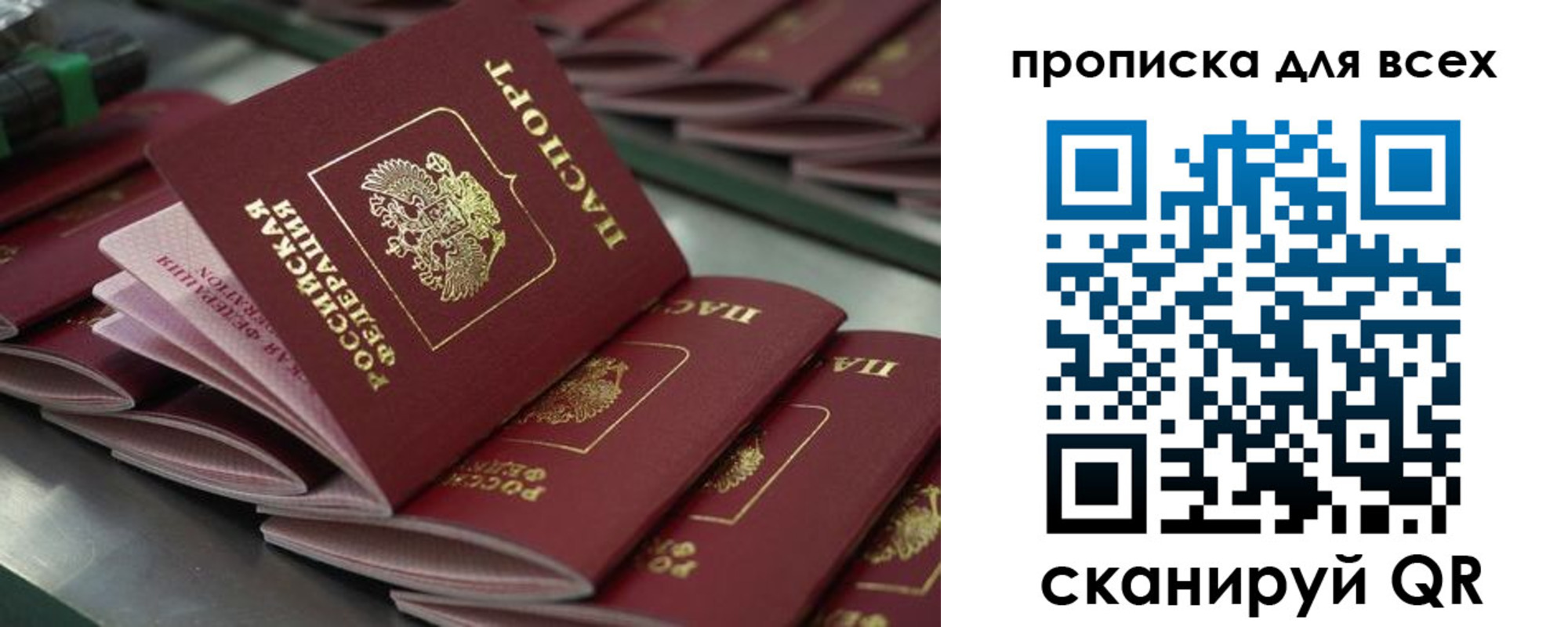найти адрес прописки в Боготоле